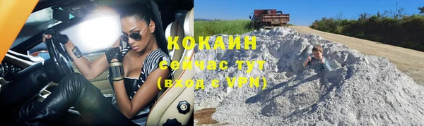 мдпв Нея