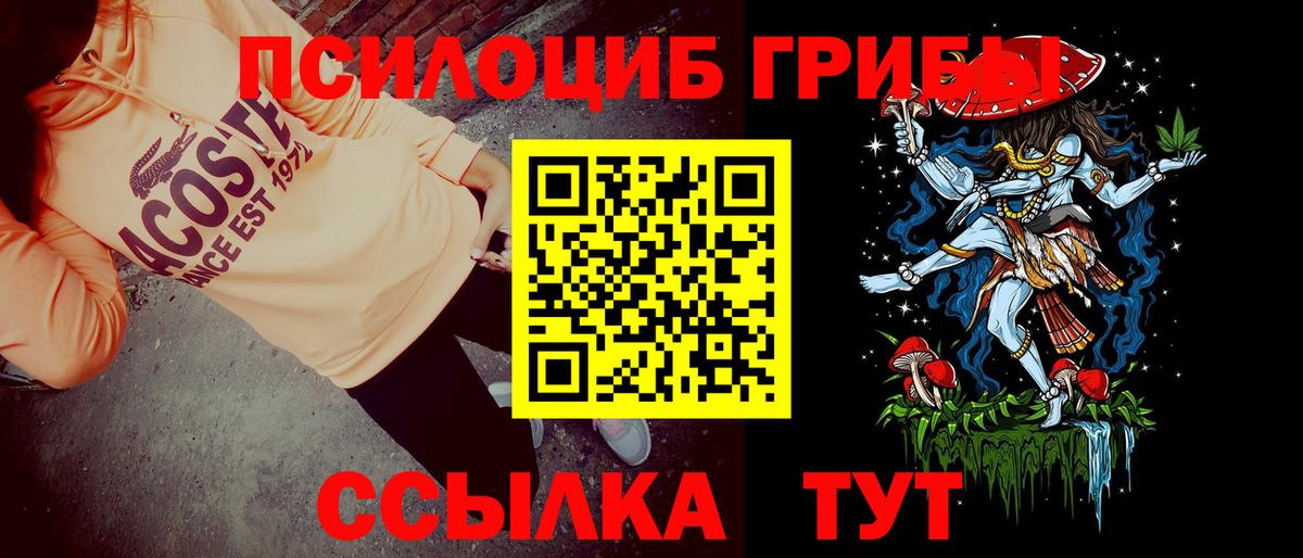 Галлюциногенные грибы Psilocybine cubensis  Арсеньев 